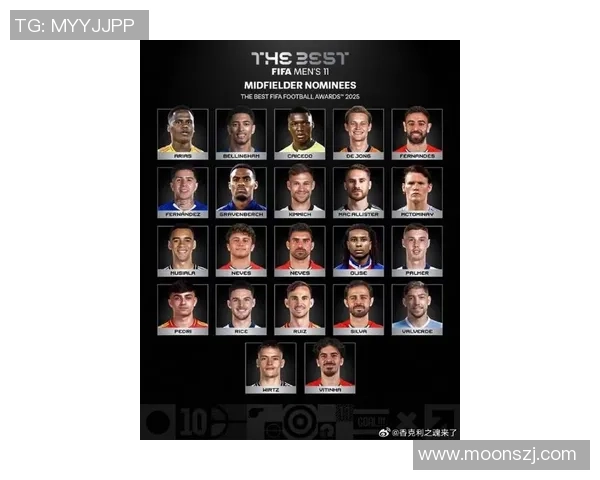 芬兰足球现役明星球员全名单及其赛场表现分析