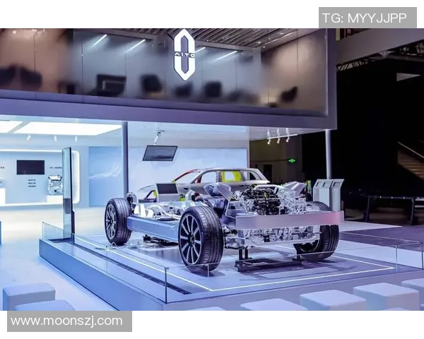 武汉排球队的整体压制革新之路与未来发展展望